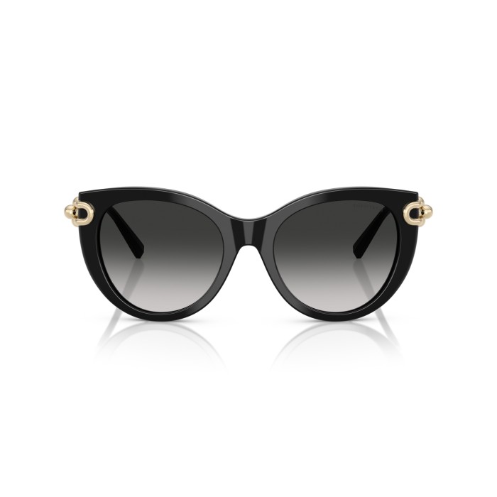 TIFFANY & CO. TF4232 80013C