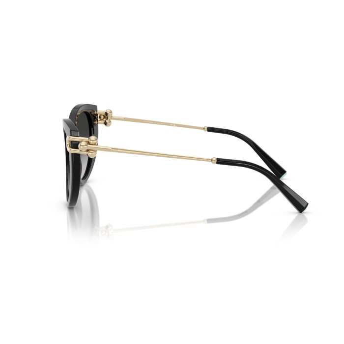 TIFFANY & CO. TF4232 80013C