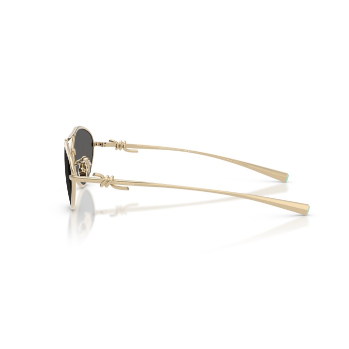 TIFFANY & CO. TF3117 6021S4