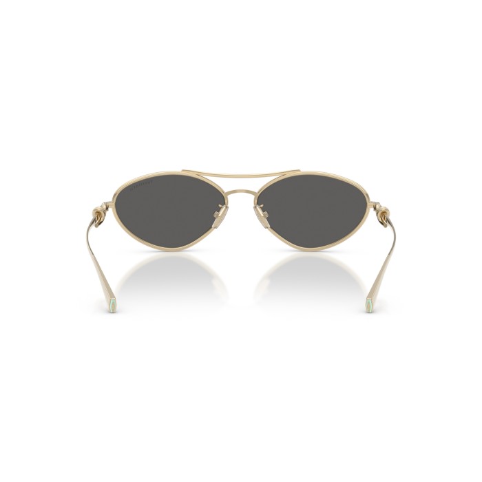 TIFFANY & CO. TF3117 6021S4