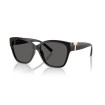 TIFFANY & CO. TF4254U 8001S4