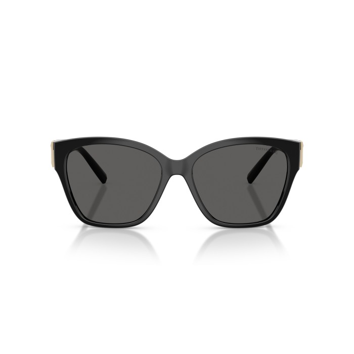 TIFFANY & CO. TF4254U 8001S4