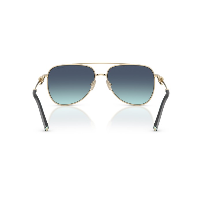 TIFFANY & CO. TF3116 62029S