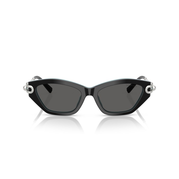 TIFFANY & CO. TF4231U 8055S4
