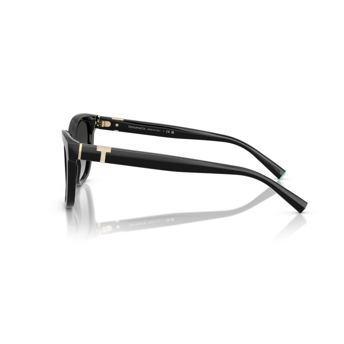 TIFFANY & CO. TF4237B 80013C