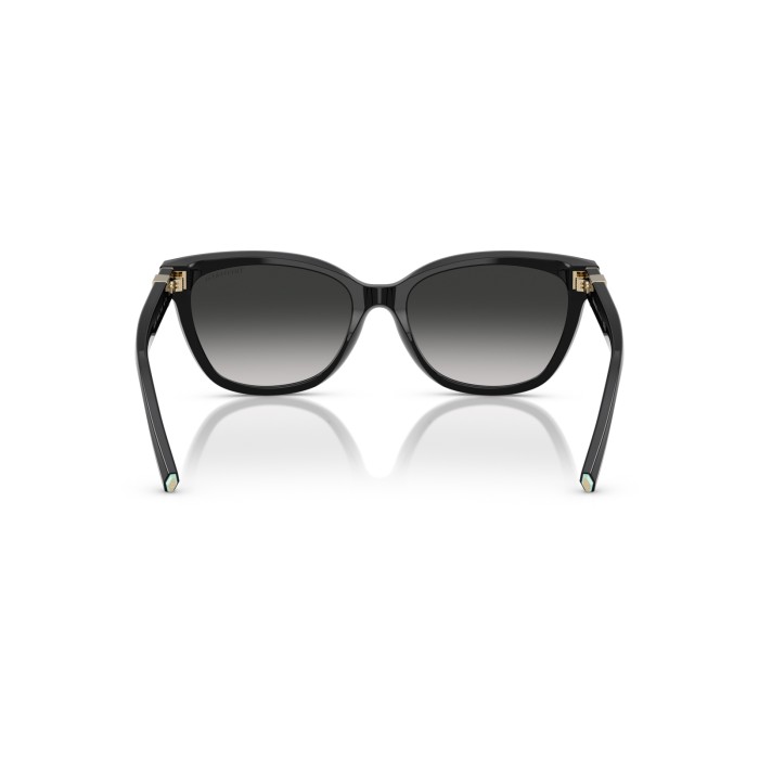 TIFFANY & CO. TF4237B 80013C
