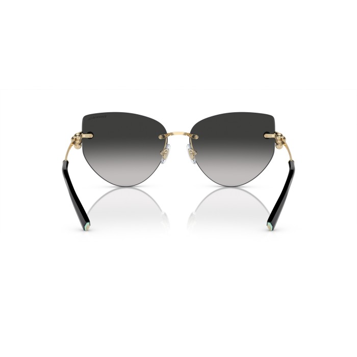 TIFFANY & CO. TF3096 60213C
