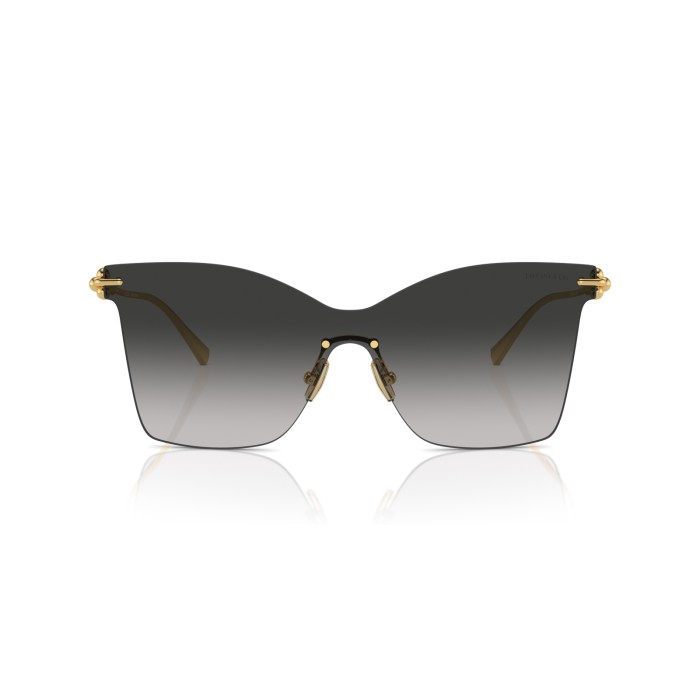 TIFFANY & CO. TF3103K 62113C