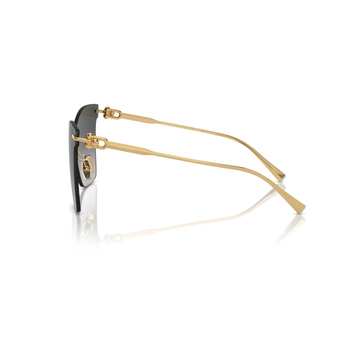 TIFFANY & CO. TF3103K 62113C