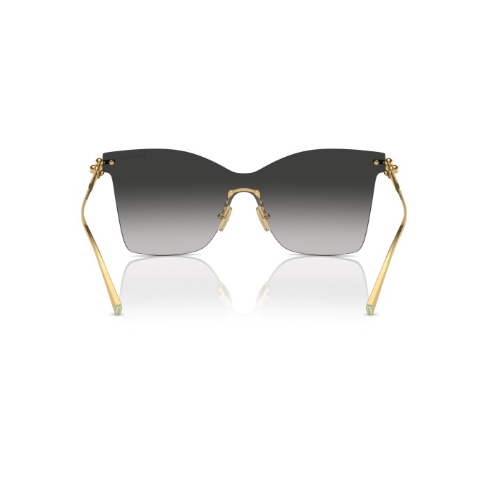 TIFFANY & CO. TF3103K 62113C