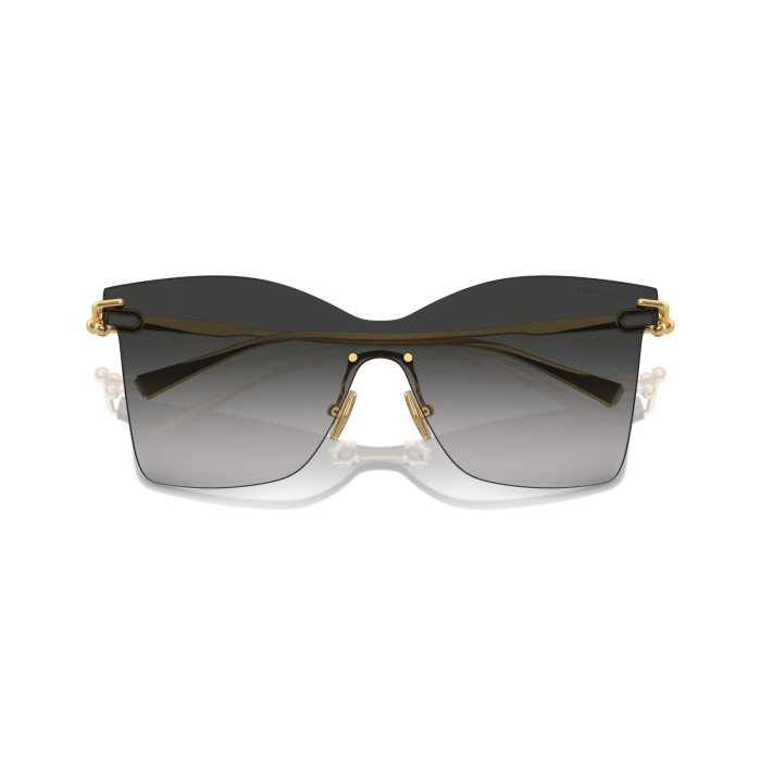 TIFFANY & CO. TF3103K 62113C