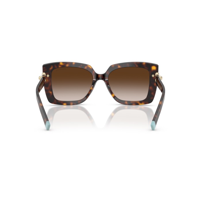 TIFFANY & CO. TF4199 80153B
