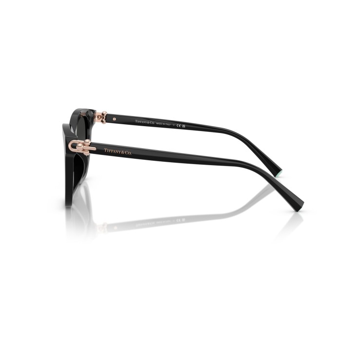 TIFFANY & CO. TF4241D 80013C
