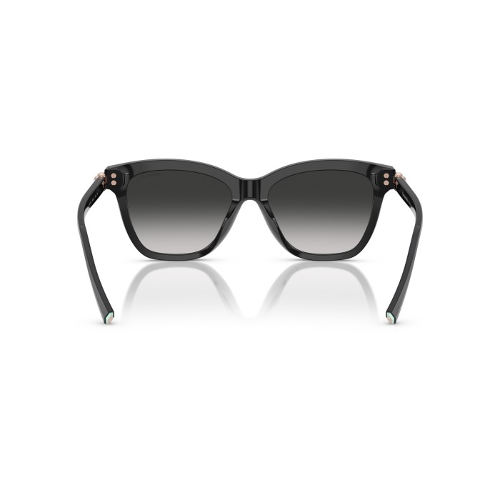 TIFFANY & CO. TF4241D 80013C