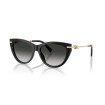 TIFFANY & CO. TF4253 80013C