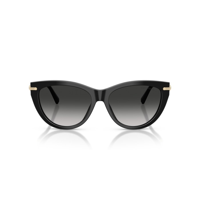 TIFFANY & CO. TF4253 80013C