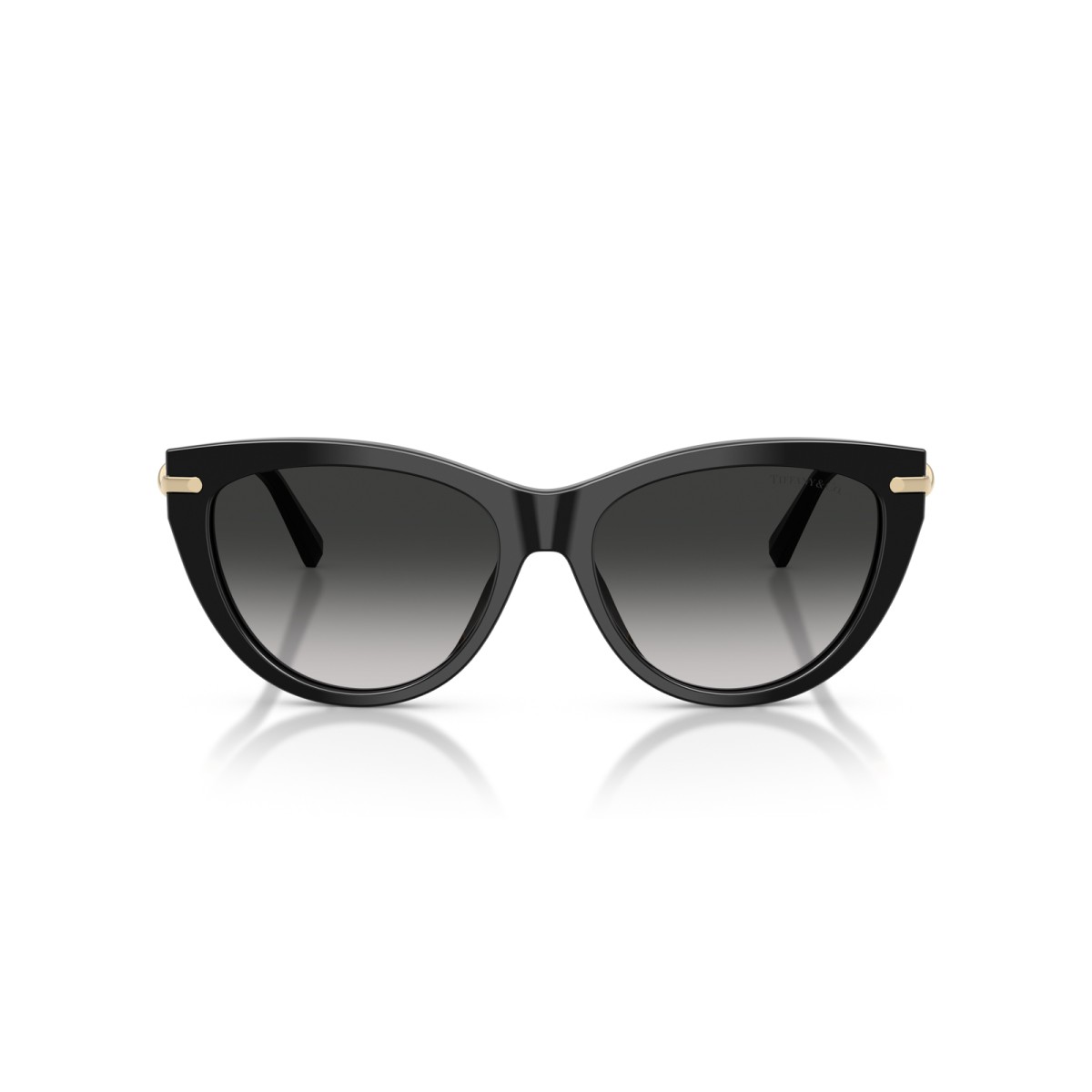 TIFFANY & CO. TF4253 80013C | Sunglasses | Vytria Eyewear