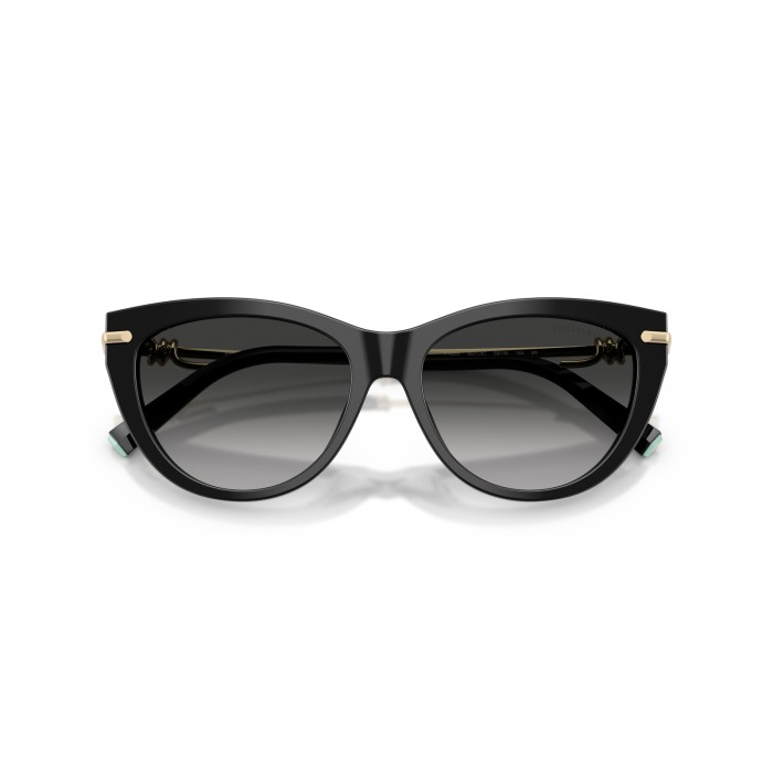 TIFFANY & CO. TF4253 80013C