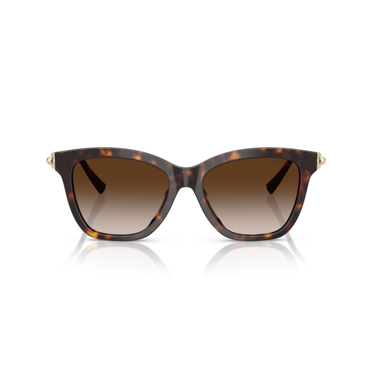 TIFFANY & CO. TF4241D 80153B | Sunglasses | Vytria Eyewear