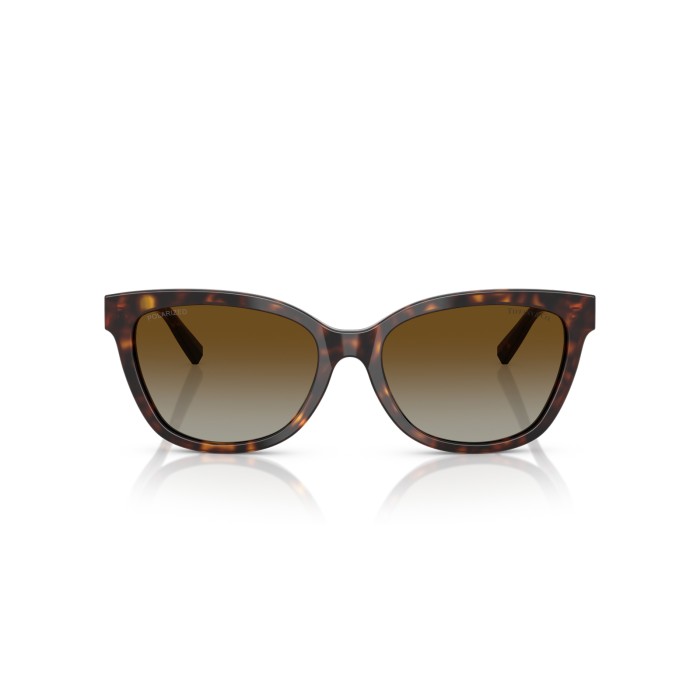 TIFFANY & CO. TF4237B 8015T5