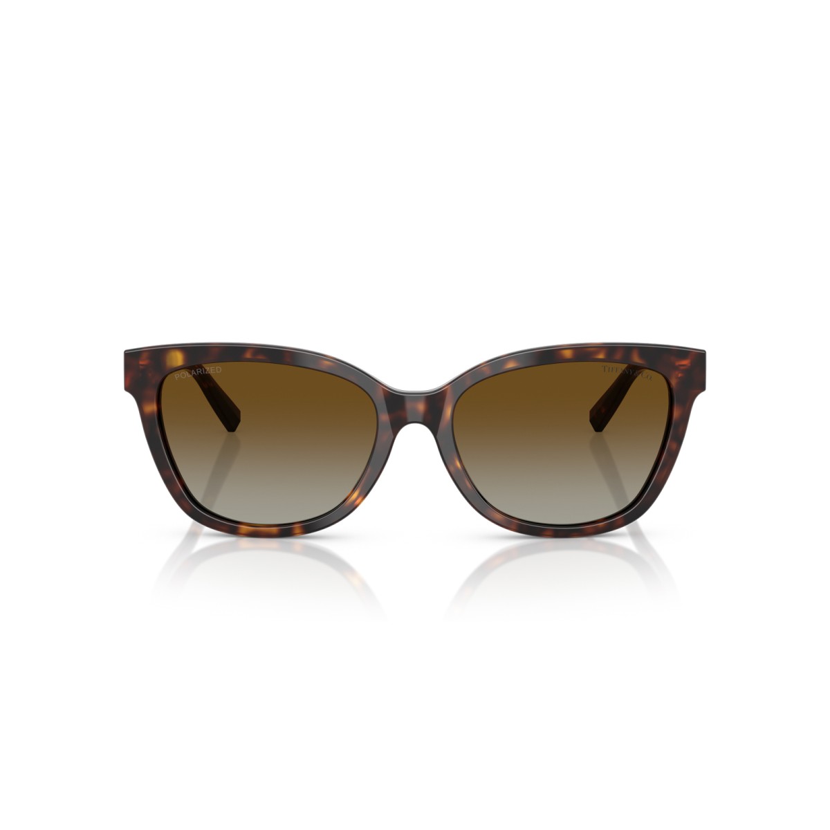 TIFFANY & CO. TF4237B 8015T5 | Gafas de sol | Vytria Eyewear