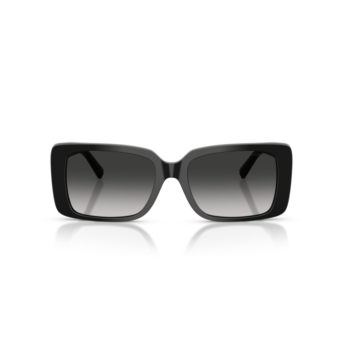 TIFFANY & CO. TF4249 80013C