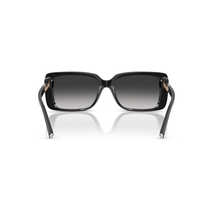 TIFFANY & CO. TF4249 80013C