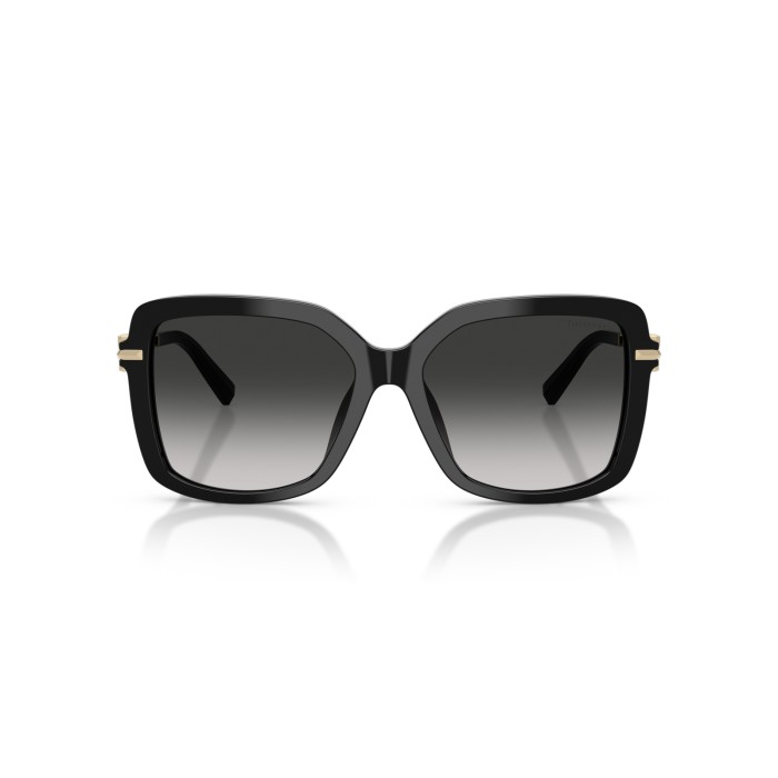 TIFFANY & CO. TF4252B 80013C