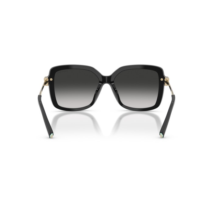 TIFFANY & CO. TF4252B 80013C