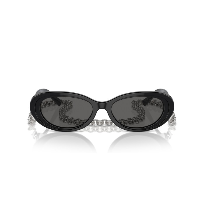 TIFFANY & CO. TF4221 8001S4