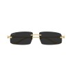 Cartier Panthere CT0505S 001 | Square Sunglasses 