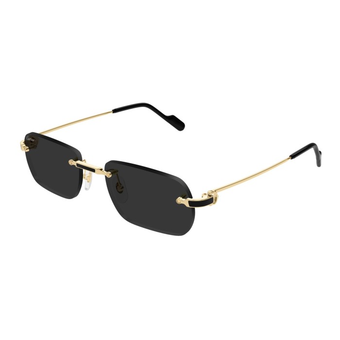 Cartier CT0498S 001 Sunglasses