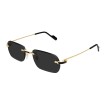Cartier CT0498S 001 Sunglasses