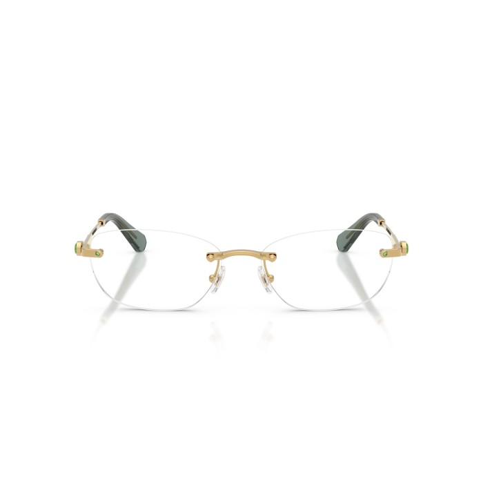 SWAROVSKI SK1037 4017