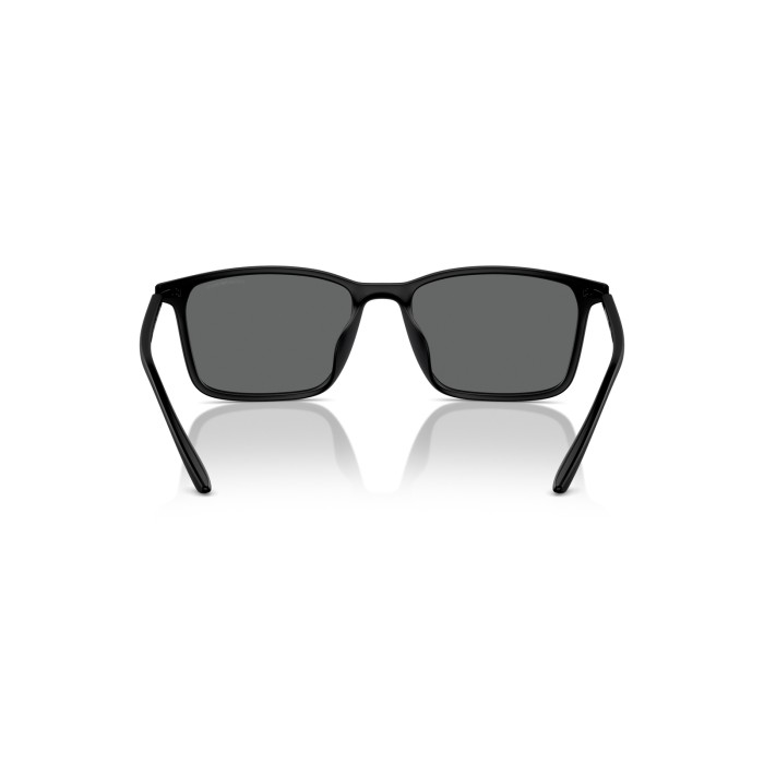 EMPORIO ARMANI EA4223U 500187