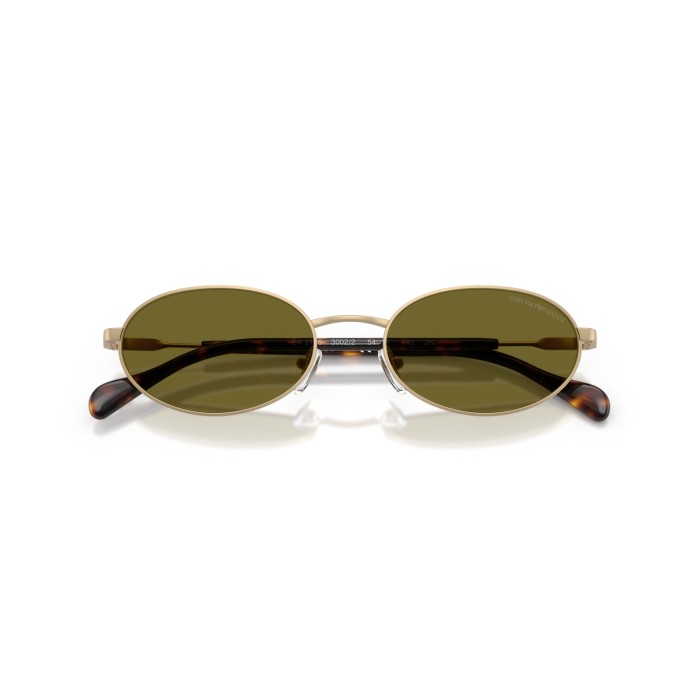 EMPORIO ARMANI EA2175 3002/2