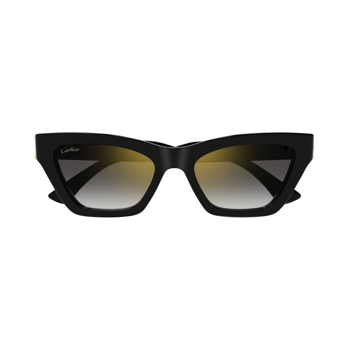 Cartier Double C CT0437S 001