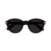 CARTIER CT0395SA 001 | Sunglasses | Vytria Eyewear