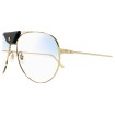 CARTIER CT0038S 017 | Sunglasses | Vytria Eyewear