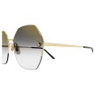 CARTIER  CT0332S 001 | Sunglasses | Vytria Eyewear