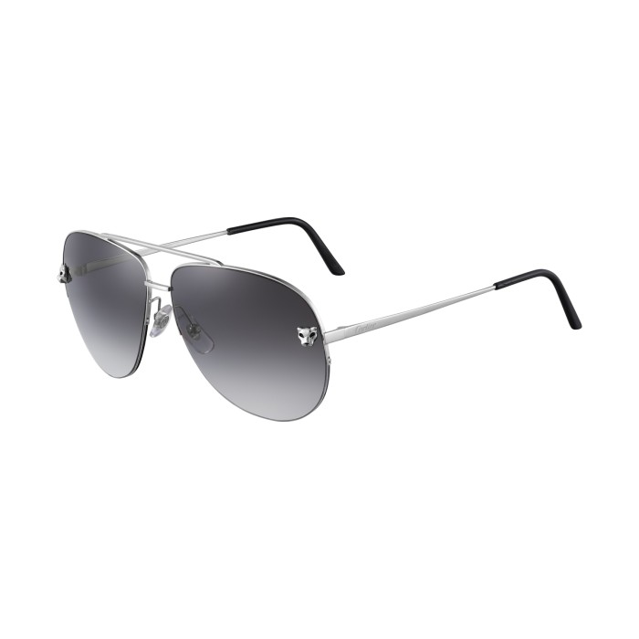 CARTIER  CT0065S 003 | Sunglasses | Vytria Eyewear