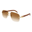 CARTIER CT0041RS  001 | Sunglasses | Vytria Eyewear