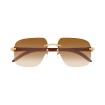 CARTIER CT0041RS  001 | Sunglasses | Vytria Eyewear