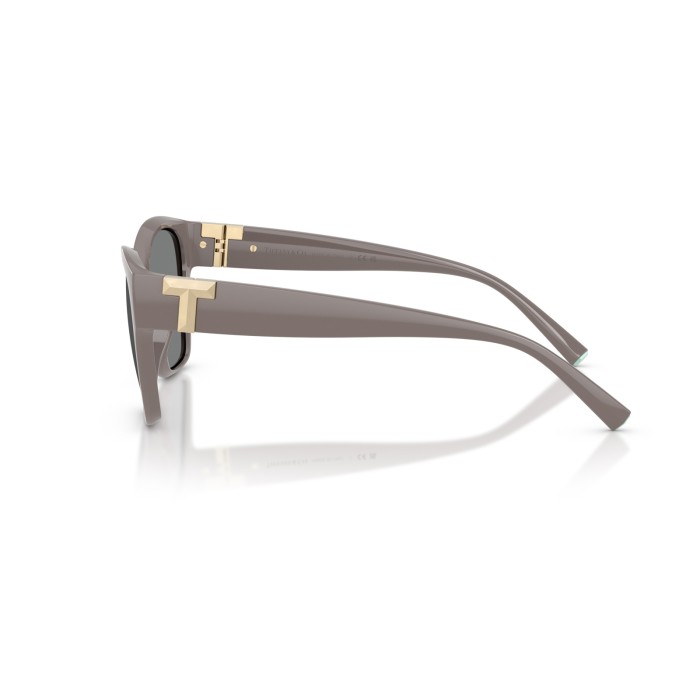 TIFFANY & CO. TF4254U 840187