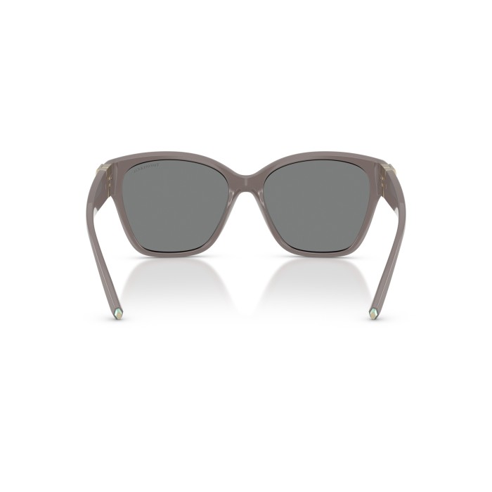 TIFFANY & CO. TF4254U 840187