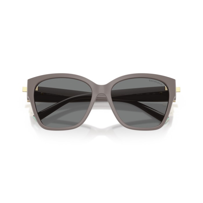 TIFFANY & CO. TF4254U 840187