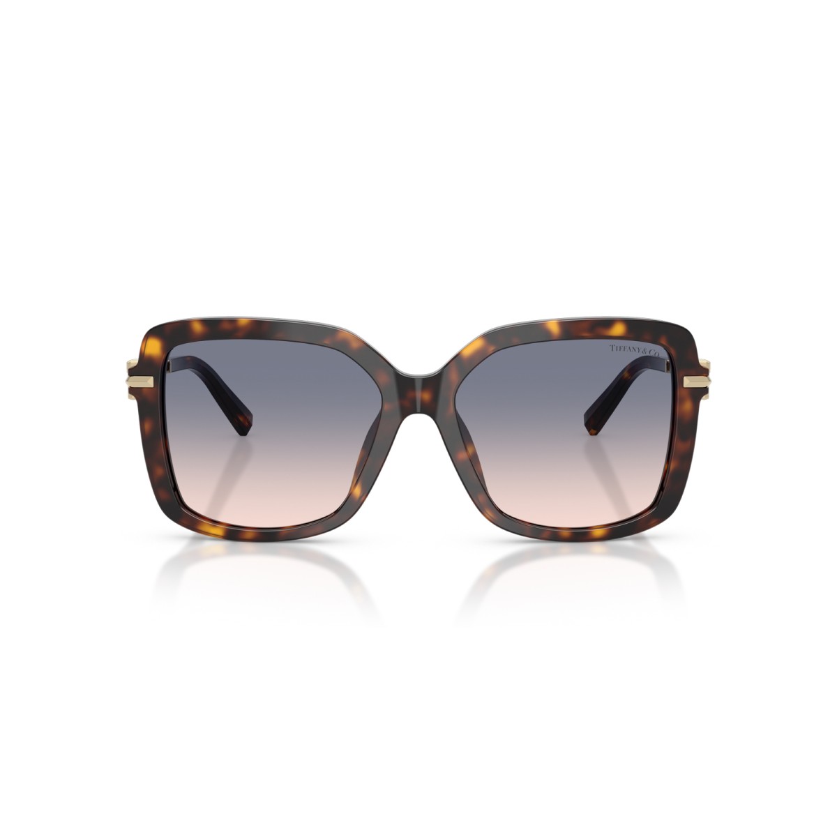 TIFFANY & CO. TF4252B 801516 | Sunglasses | Vytria Eyewear