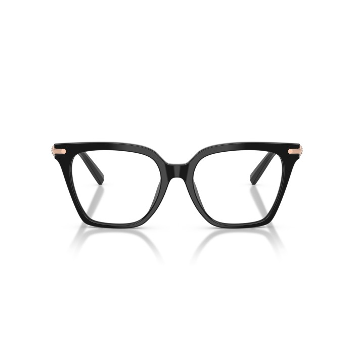 TIFFANY & CO. TF2284B 8001