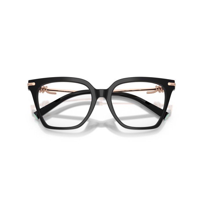 TIFFANY & CO. TF2284B 8001
