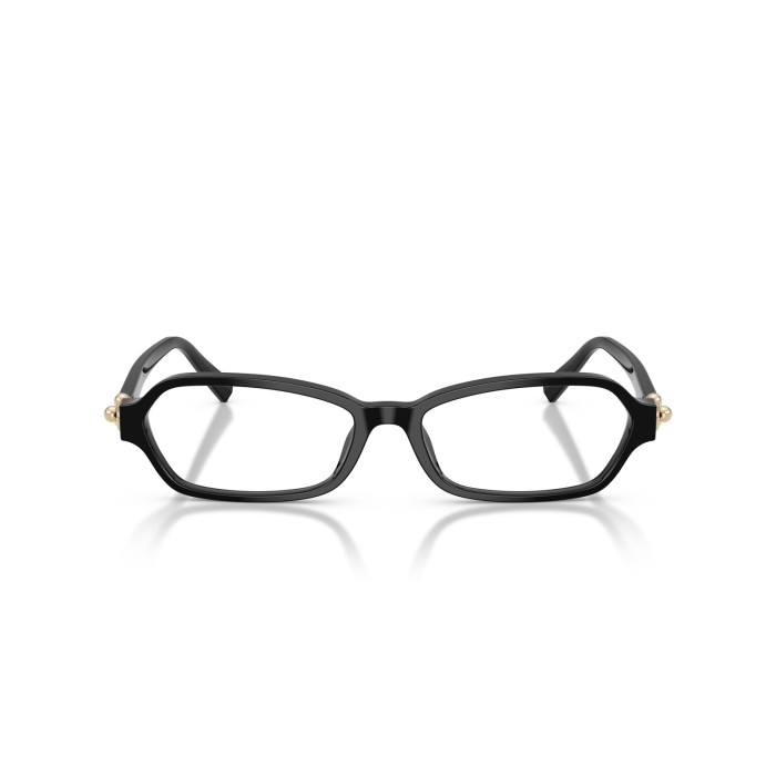 TIFFANY & CO. TF2293U 8001